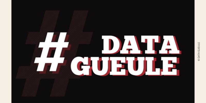 Logo de Data Gueule