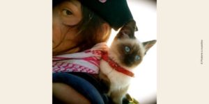 Visuel de Piraterie à roulettes