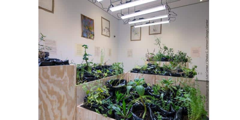 ALVES (MARIA THEREZA)