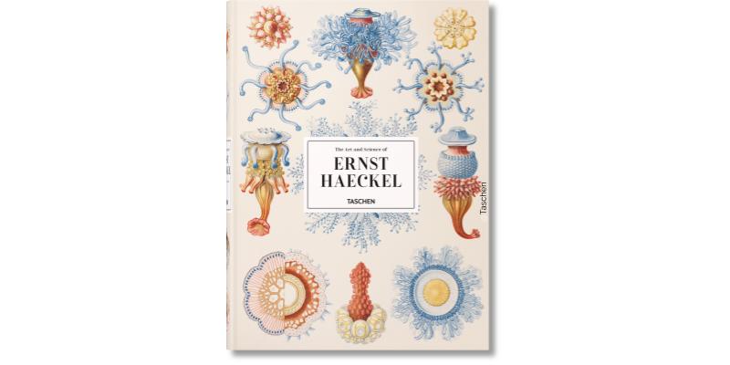 Première page de Art et science de Haeckel