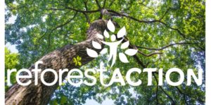 Logo Reforest' Action