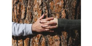 Connexion aux autres, au monde