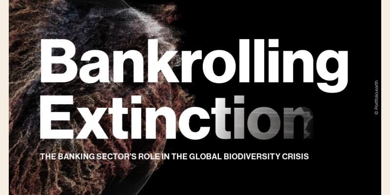 Visuel de Bankrolling Extinction par portfolio.earth