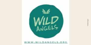 Logo de Wild Angels