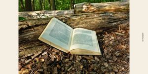 Photo livre ouvert dans une forêt