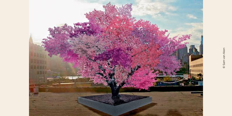 Photo de l'arbre des 40 fruits, œuvre de Sam van Aken