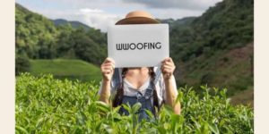 Image de wwoofing
